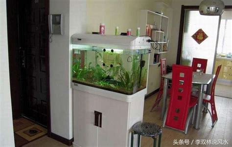 租屋風水注意 45公分魚缸可以養幾隻魚